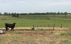Lot 4, 35 Ralstons Road, Nelsons Plains NSW