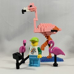 2021-174 - Pink Flamingo Day