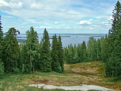 The Finnish national landscape at Koli