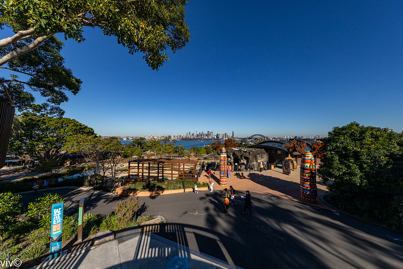 Picturesque Sydney harbour and CBD views from Taronga Zoo, Sydney, New South Wales, Australia<br/>© <a href="https://flickr.com/people/143455489@N03" target="_blank" rel="nofollow">143455489@N03</a> (<a href="https://flickr.com/photo.gne?id=51271998289" target="_blank" rel="nofollow">Flickr</a>)