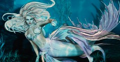 mermaid's call
