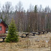 Spring in Lapland, Finland