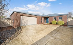 148A Mansfield Avenue, Mount Clear Vic