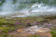 Hot springs at Geysir