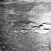 Interbedded shale and limestone (Bethel Member, Girkin Limestone, Upper Mississippian; Houchins Narrows, Mammoth Cave, Kentucky, USA) 3