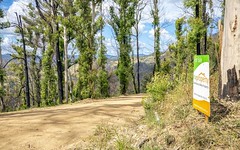 489 Mchughs Creek Road, South Arm NSW