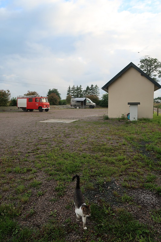 Camping in France, free aire at cow horse farm