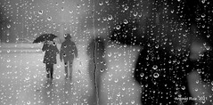 Madrid. La lluvia sucede en el pasado. Borges.