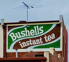 199/365. Bushells Instant Tea powder ghost sign (#83) from the 1970s revealed in excellent detail at the back of an abandoned shop in Carlton North.