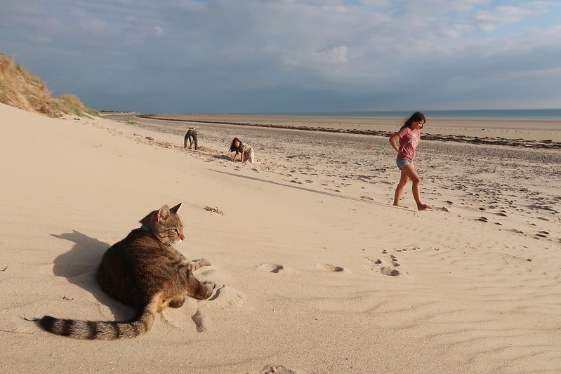 Sand dune beach camping France