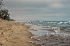 Along the Shores of Lake Michigan in Indiana Dunes National Park