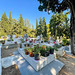 Der Friedhof von Skiathos: ein Freilichtmuseum mit Denkmälern der neoklassischen Periode