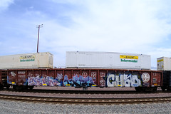 Benching Freight Train Graffiti in SoCal (July 24th 2021)