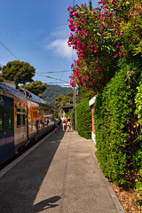 eze-gare-sncf-3D0A5180-Modifier<br/>© <a href="https://flickr.com/people/66644631@N05" target="_blank" rel="nofollow">66644631@N05</a> (<a href="https://flickr.com/photo.gne?id=51335822466" target="_blank" rel="nofollow">Flickr</a>)