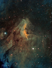 Pelican Nebula IC 5070