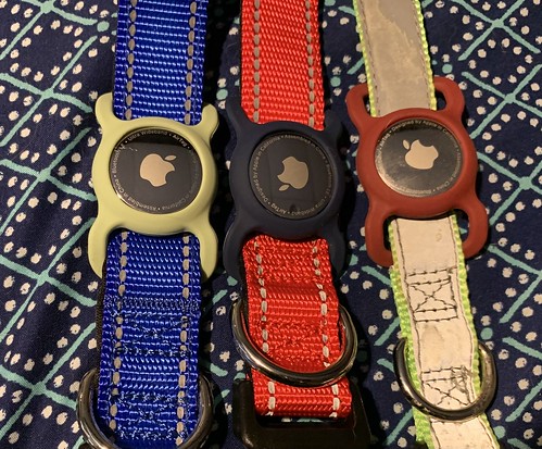 Elvis, Tucker and Frank now have Apple Air Tag GPS trackers by Tobyotter, on Flickr