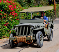 July 29: Jeep - Number 210