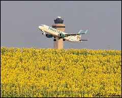 August 15, 2021 - An airplane takes flight with sunflowers below. (Bill Hutchinson)