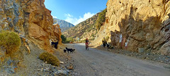 Cycling road in Morocco