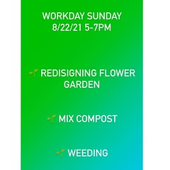 LAST MINUTE WORKDAY!!! 💪🌱 PLEASE COMEEEEEEE 🏁🏁 So first off gratitude for the beautiful season we’ve had I’m proudddd 🌱🌱. Tomorrow we are going to figure out our flower garden. I’ve got more