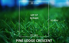 11 Pine Lodge Crescent, Grange SA