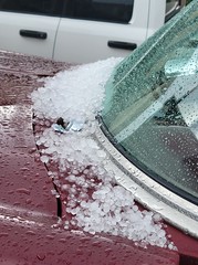 August 19, 2021 - Hail accumulates on a car. (Renee Franz)