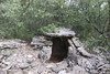 Circuit des dolmens, Mjannes-le-Clap