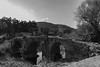 Allai-Ponte Romano