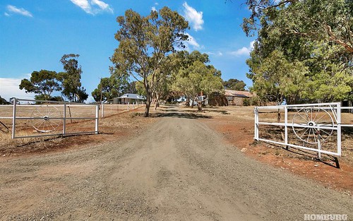 52 Old Anlaby Road, Allendale North SA 5373