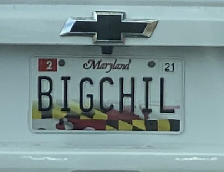 BIGCHIL mp
