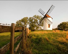 334 of Year 7 - Windmill at dawn