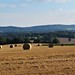 harvest fields near Fittleworth, with South Downs beyond