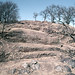 ZW Bulawayo area Khami ruins - 1965 (W65-A71-14)