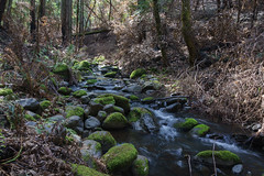 20210320 - Bothe-Napa Valley State Park - 4