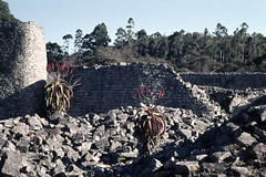 ZW Salisbury-Harare area Great Zimbabwe ruins the great enclosure - 1965 (W65-A74-16)