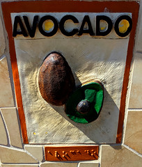 September 11: Avocado - Number 254