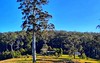 Lot 4 Bachelor Forest Road, Wootton NSW