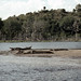 UG Murchison Falls Natl Park Safari crocodiles - 1965 (W65-A85-25)