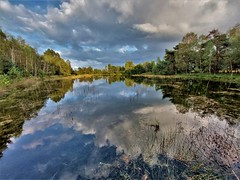 Delense Was, Hoge Veluwe Nationalpark, Netherlands