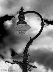 Ornate Street Light-03572