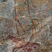 Kondoa Irangi Rock Paintings