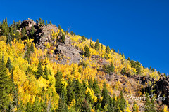 September 25, 2021 - Fall colors in RMNP. (Tony's Takes)