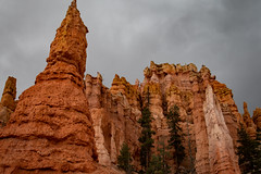 Bryce_Canyon-16