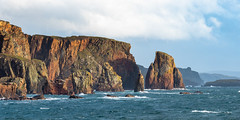 The Drongs, St Magnus Bay, Shetland