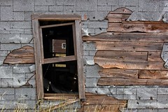 Abandoned Shack Window 4592 A