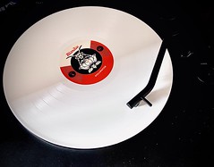 282/365. Unique white vinyl. Blondie - Pollinator.