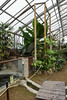 Greenhouse; kaiman etc
