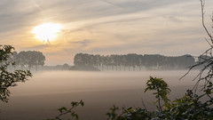 A foggy world - Polder de Biesbosch- Dordrecht