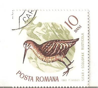 Stamps from Posta Romana