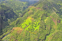 Heading up the Ko'ula River - Blue Hawaiian Helicopter tour - Kauai